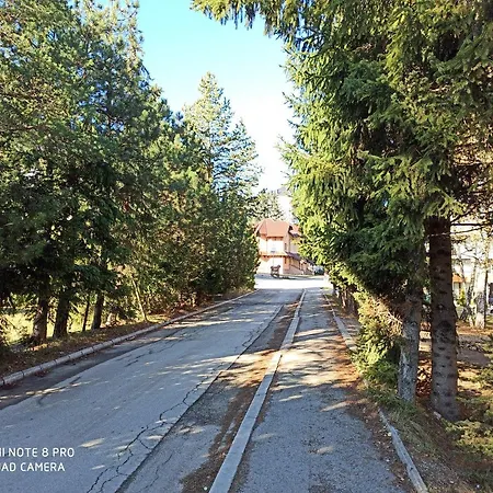 Casa Di Sofija * Zlatibor