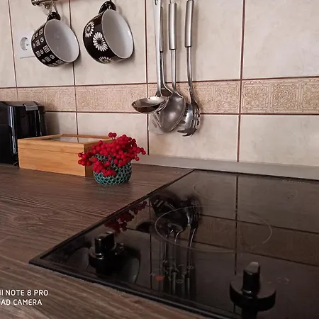 Casa Di Sofija * Zlatibor