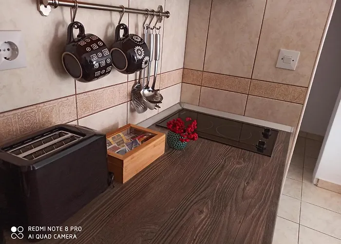 公寓 Casa Di Sofija 兹拉蒂博尔